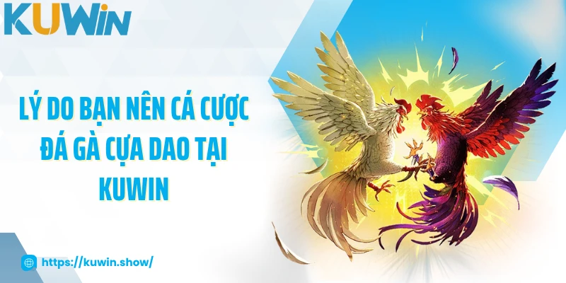 Đá Gà Cựa Dao - Xem Trực Tiếp Trận Chiến Gay Cấn 2025 Lý do bạn nên cá cược đá gà cựa dao tại KUWIN