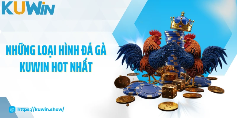 Những loại hình đá gà KUWIN hot nhất